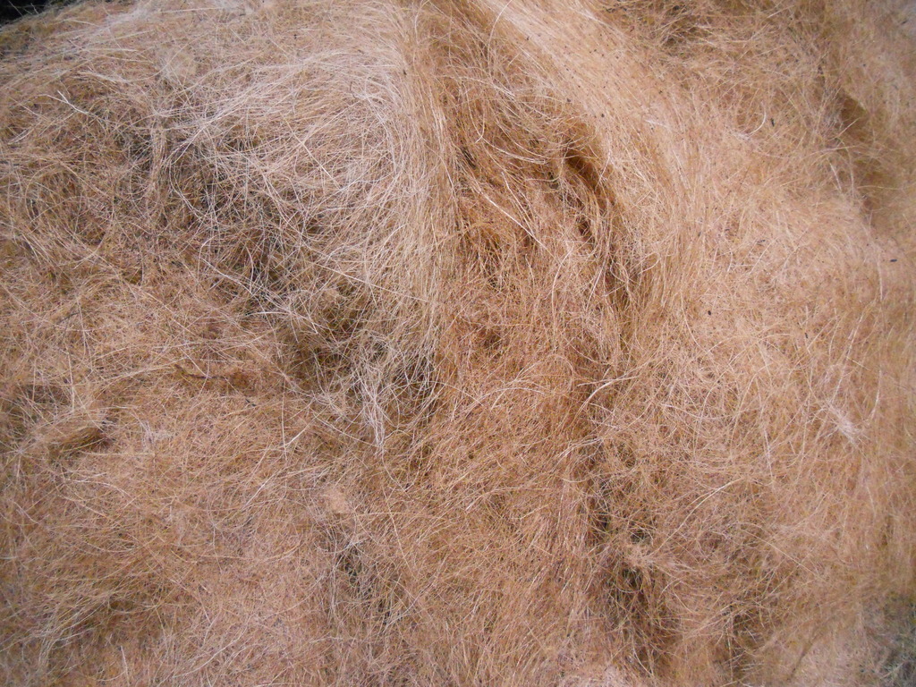 Coconut Fibre